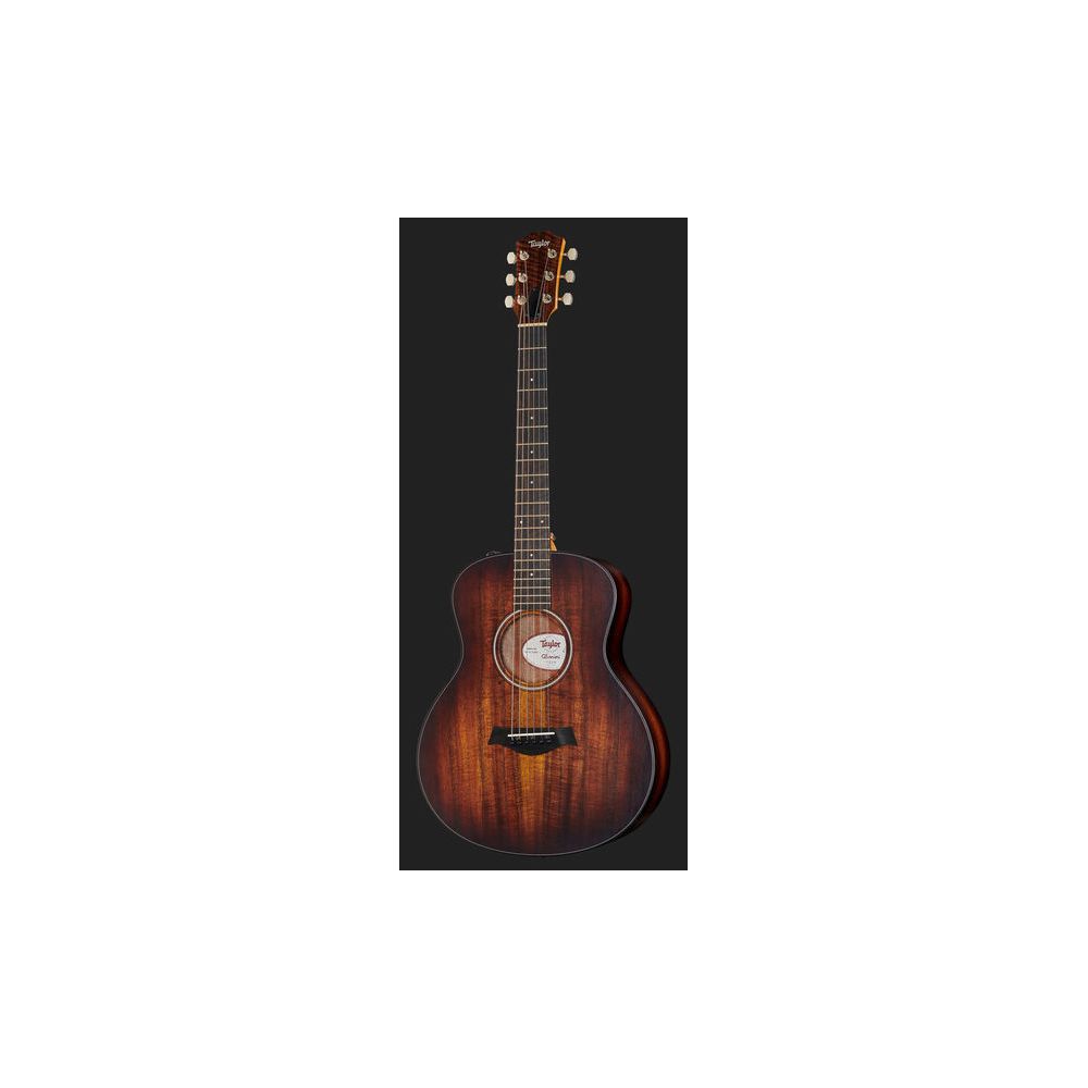 Taylor GS Mini