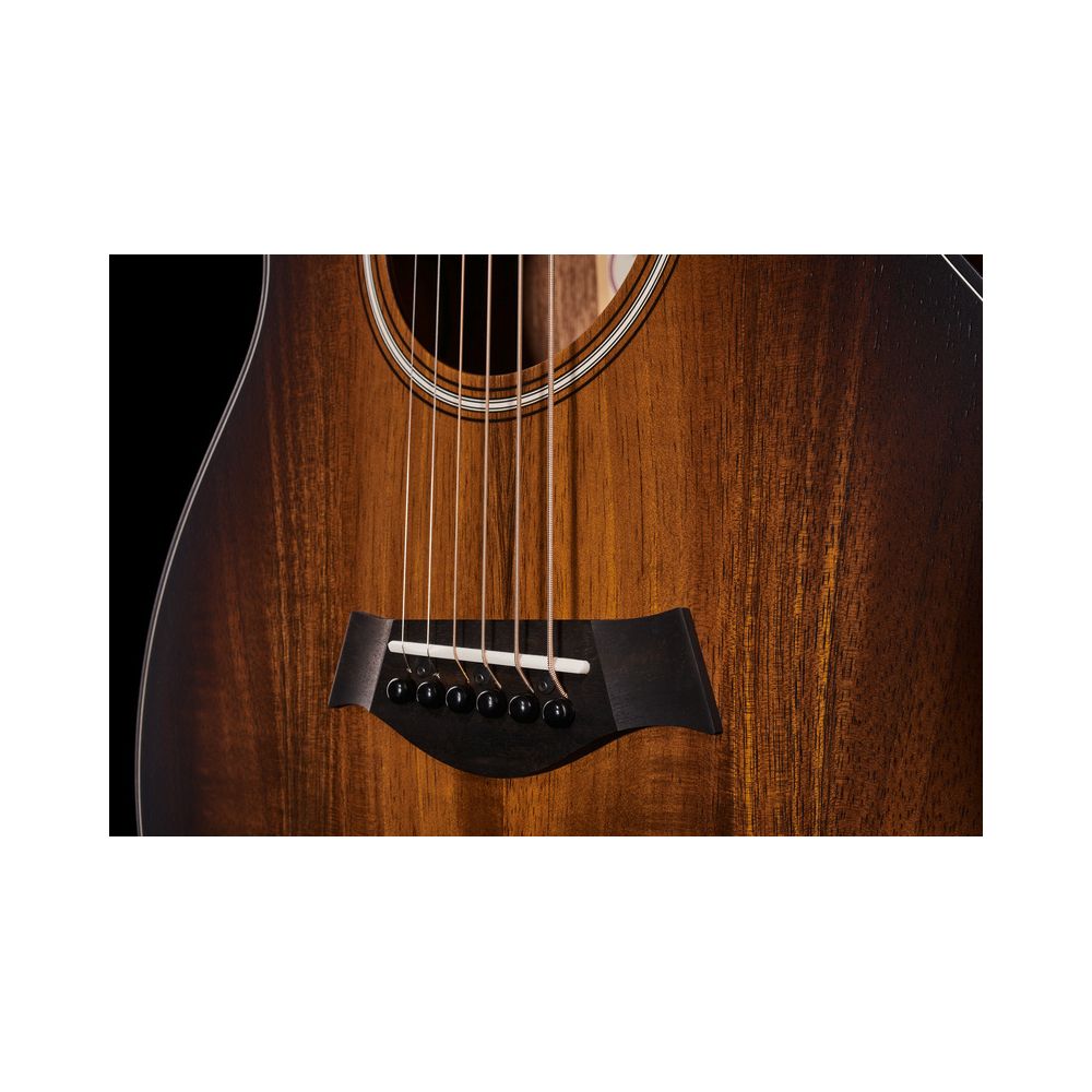 Taylor GS Mini