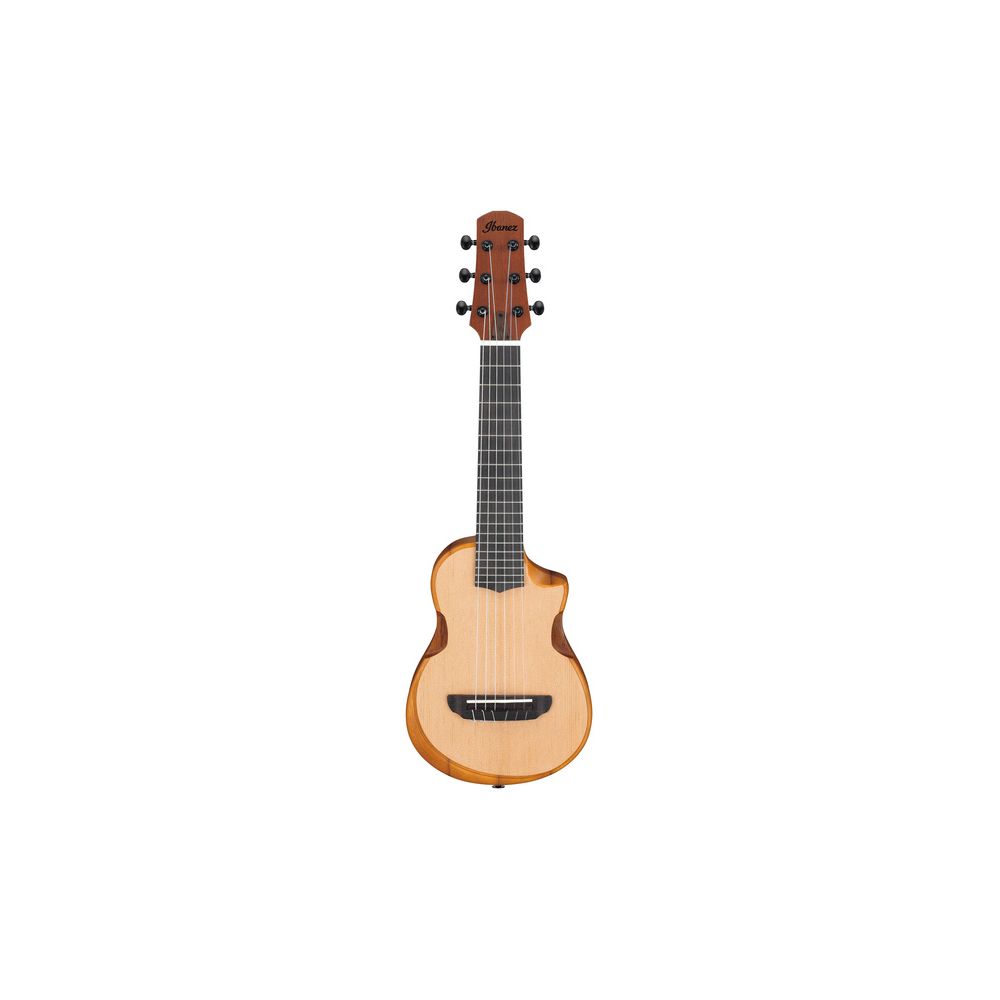 Ibanez AUP10N