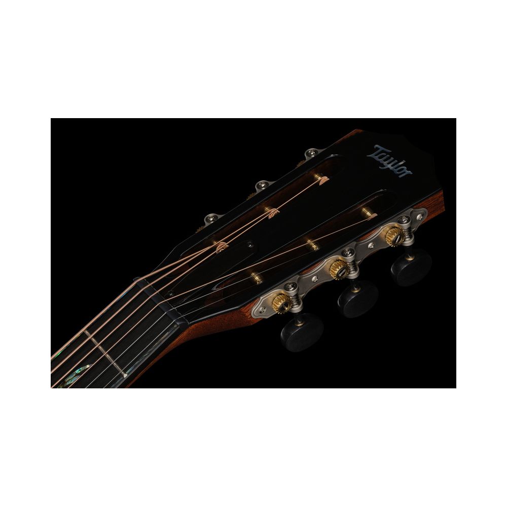 Taylor PS12ce 12 Fret Honduran RW – Thomann Ireland