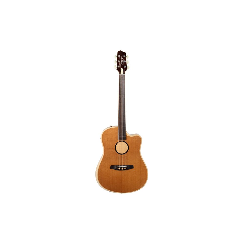 L.R.Baggs AEG 1 E