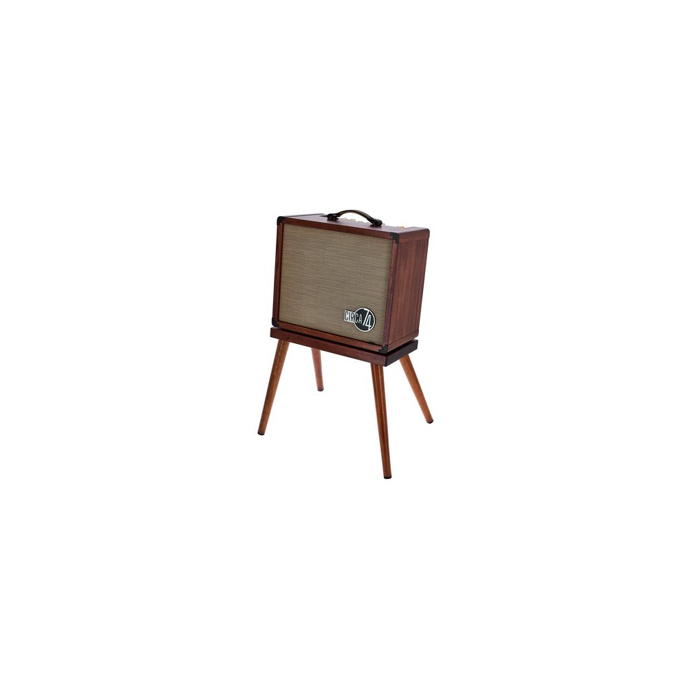 Taylor Amp Circa 74 AV150