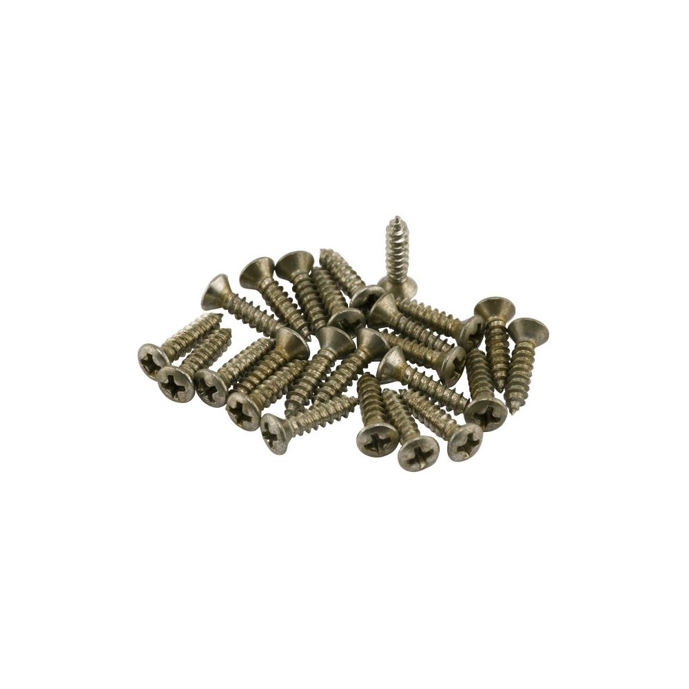 Fender Roadworn Pkgrd Plate Screws – Thomann Ireland