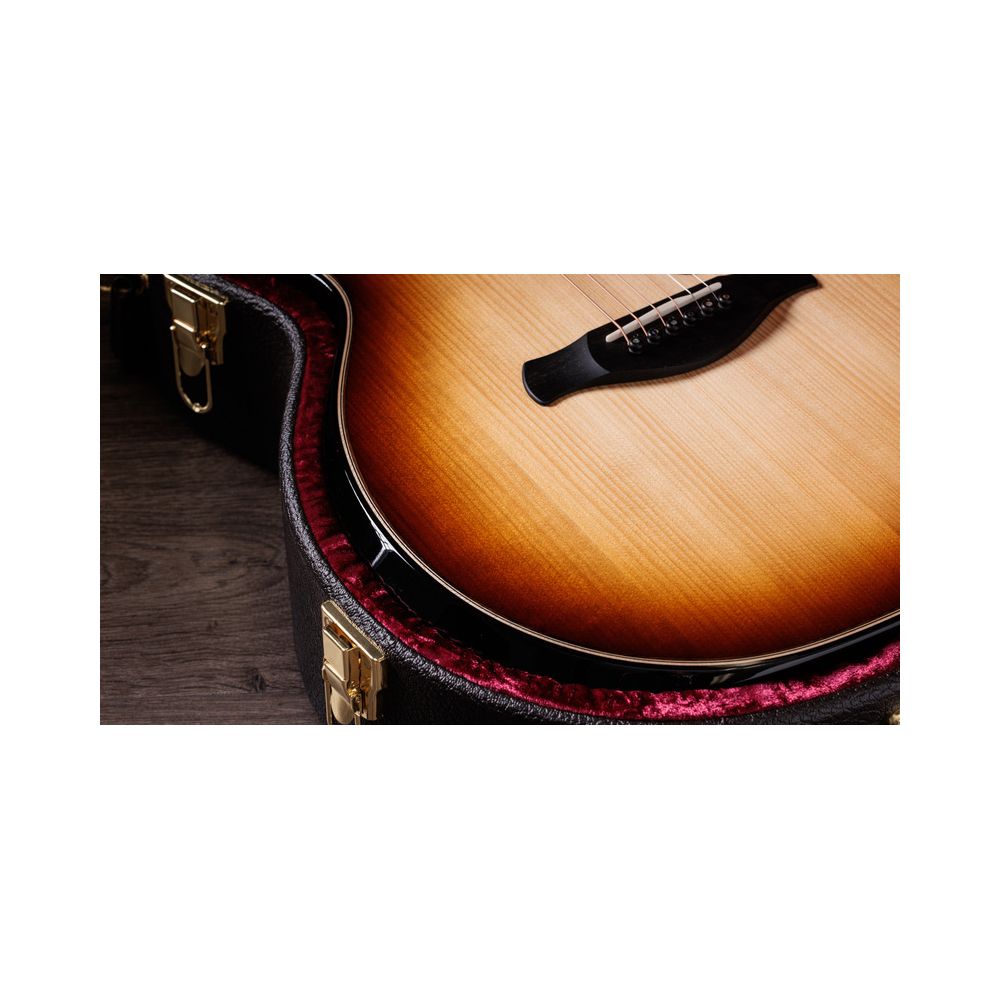 Taylor Builder´s Ed. 814ce Adirondack – Thomann Ireland