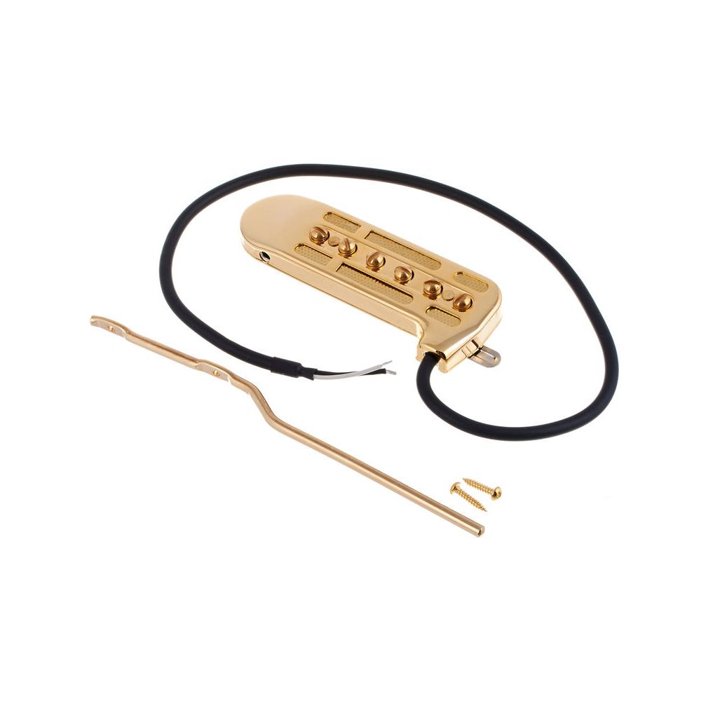 DeArmond Rhythm Chief 1100 – Thomann Ireland