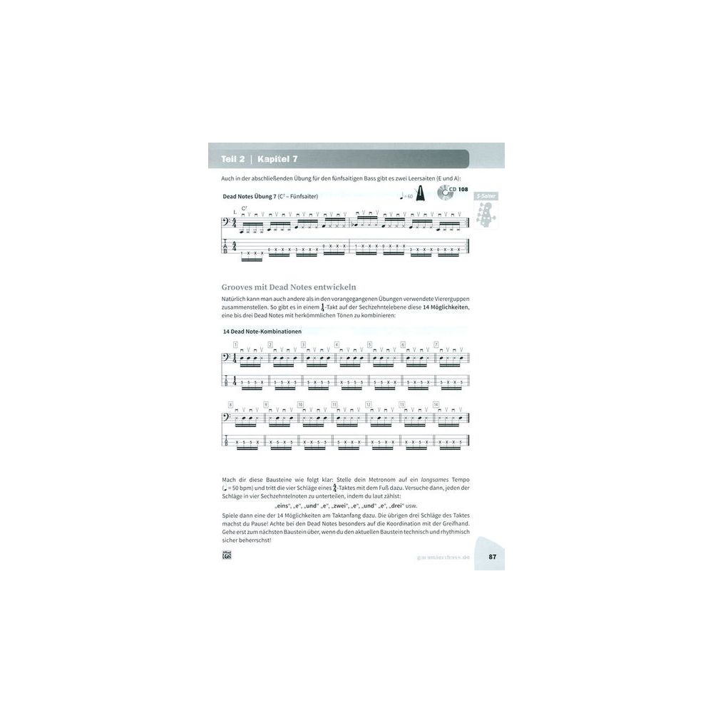 Alfred Music Publishing Plektrum