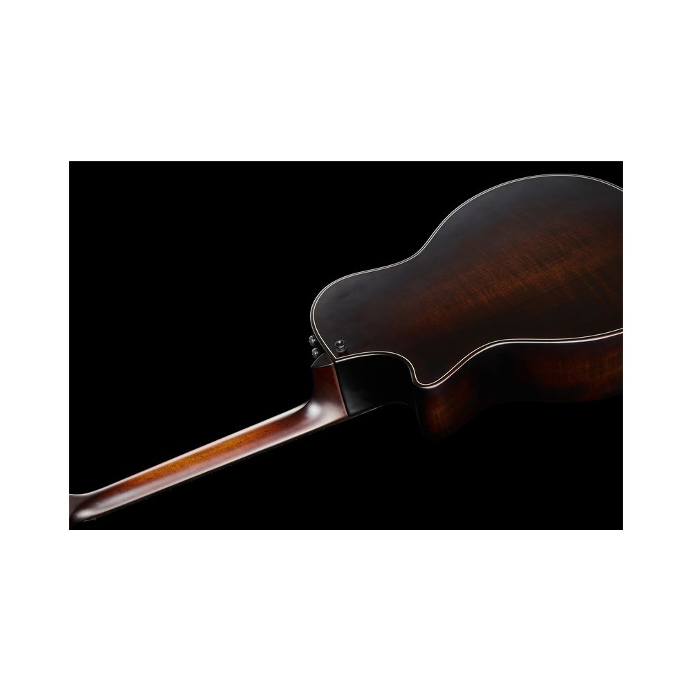 Taylor Builders Ed 314ce LTD 50th KoB – Thomann Ireland