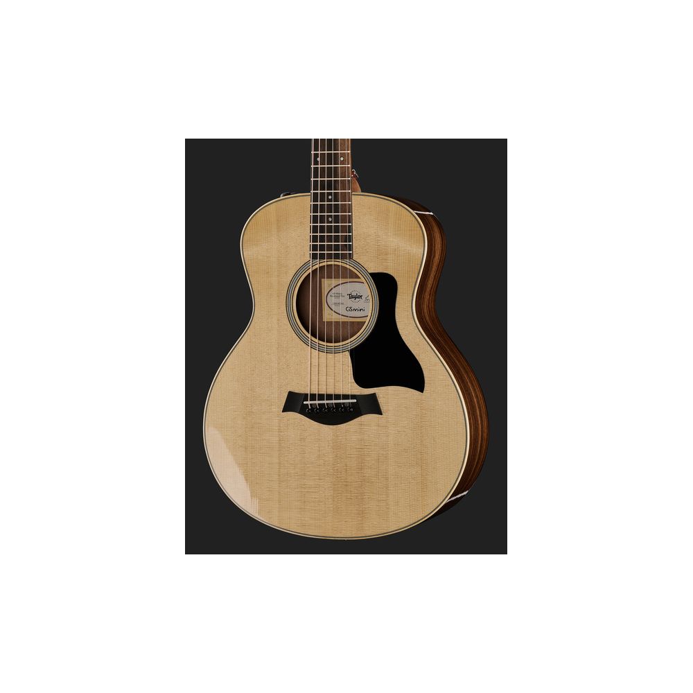 Taylor GS Mini