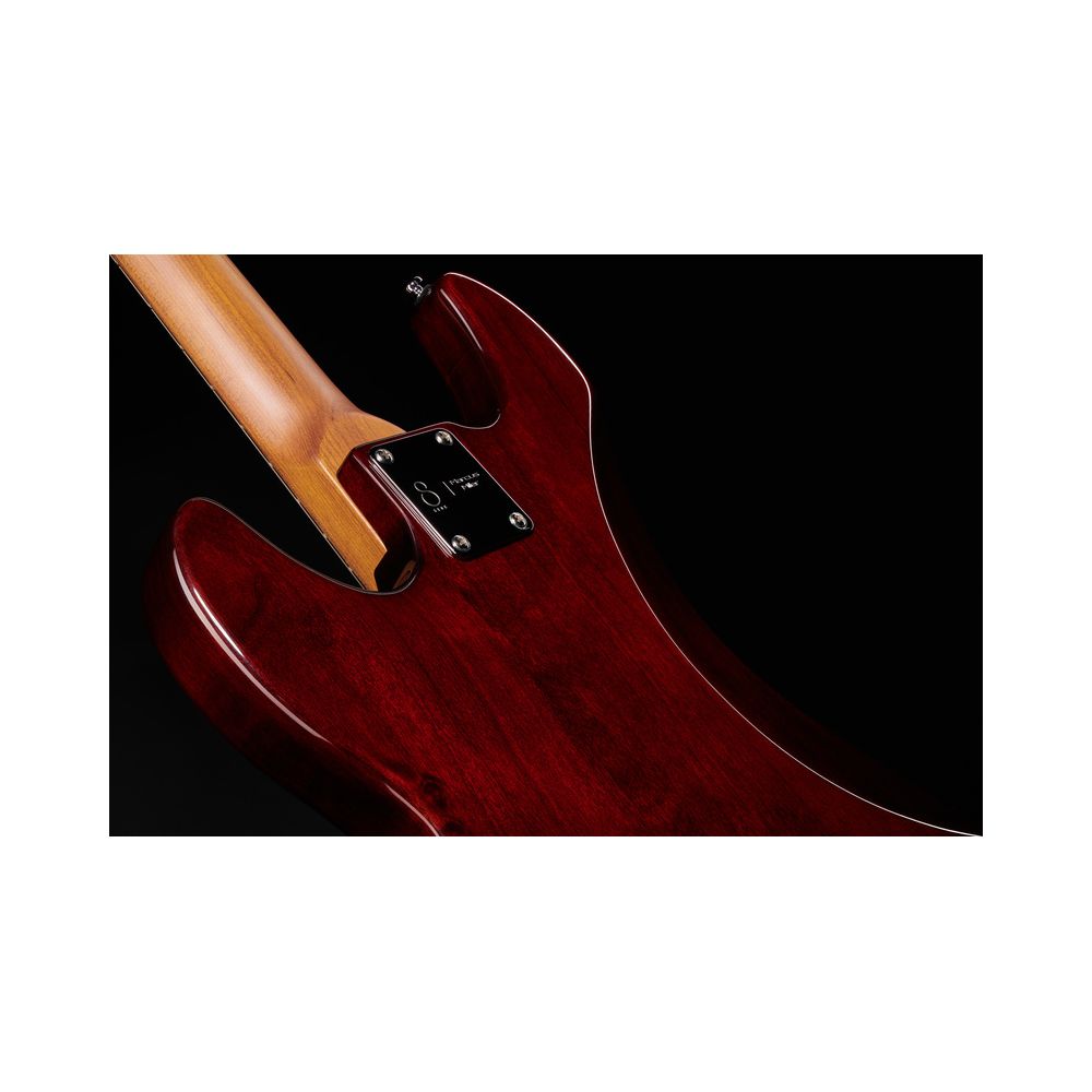 Marcus Miller P5 Alder