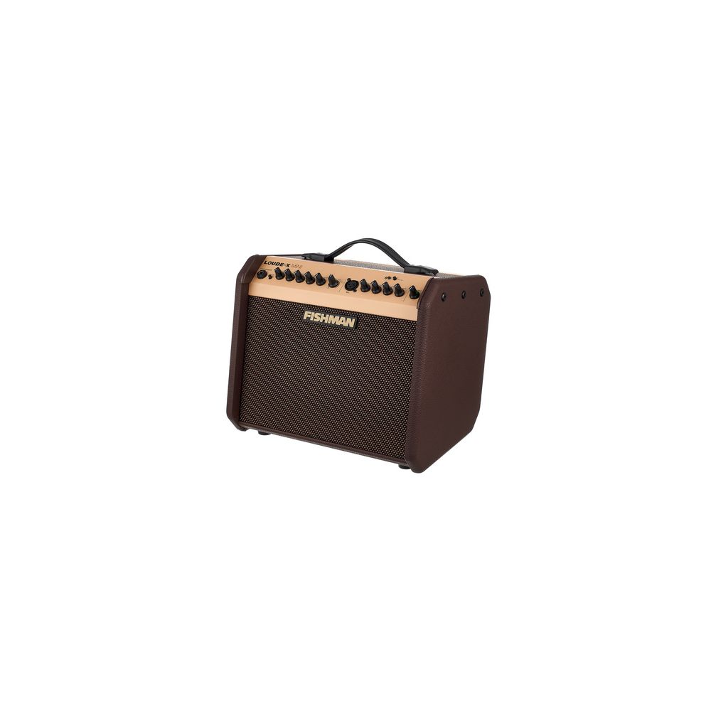 Fishman Loudbox Mini with Blue B