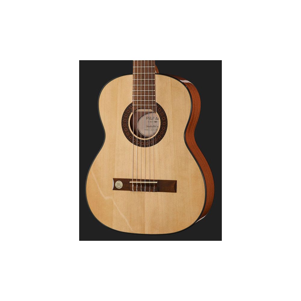 Gewa Pro Arte GC50A – Thomann Ireland