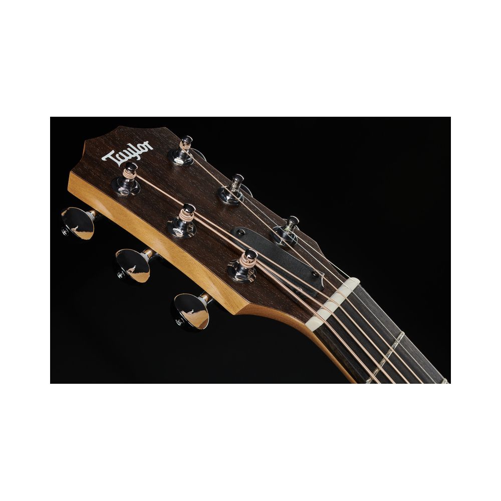 Taylor GS Mini