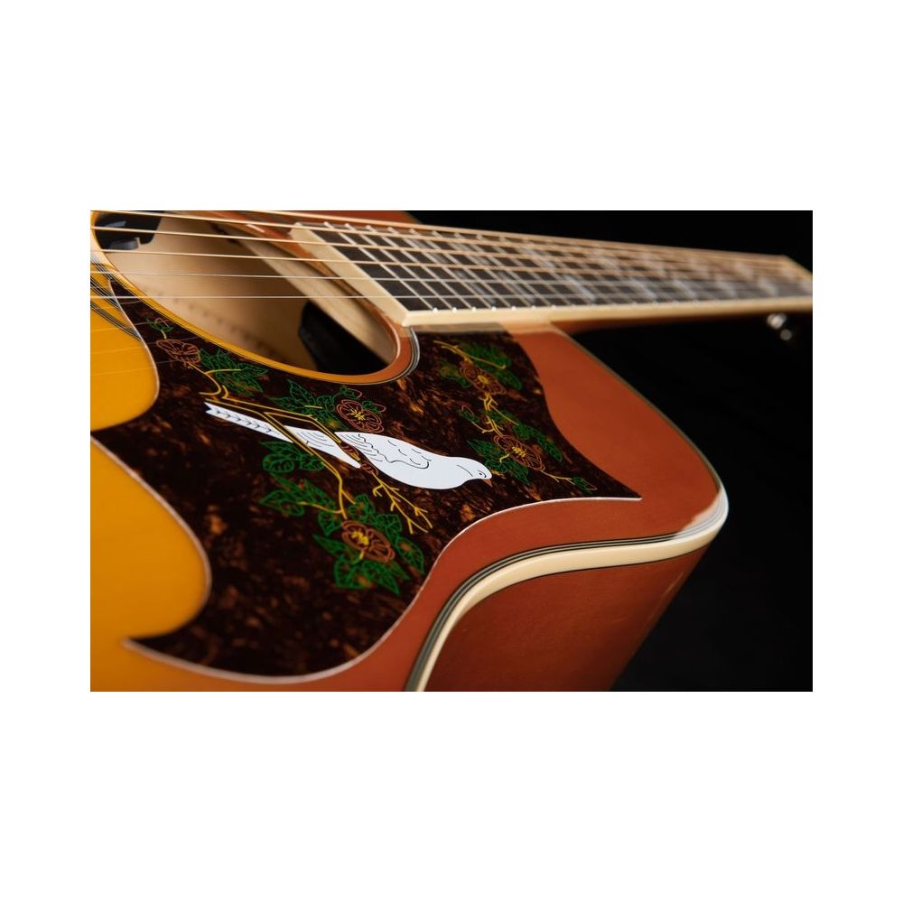 Epiphone Dove Studio – Thomann Ireland