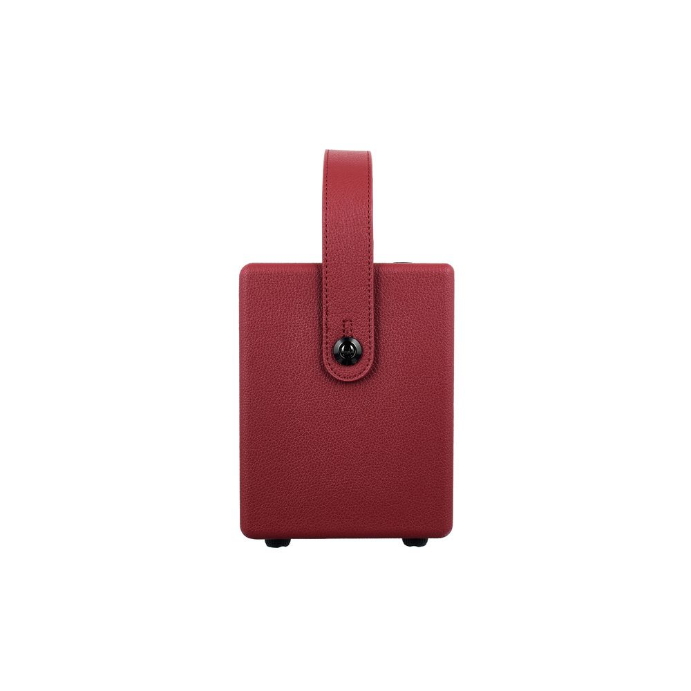 Positive Grid Spark Mini VAI – Thomann Ireland