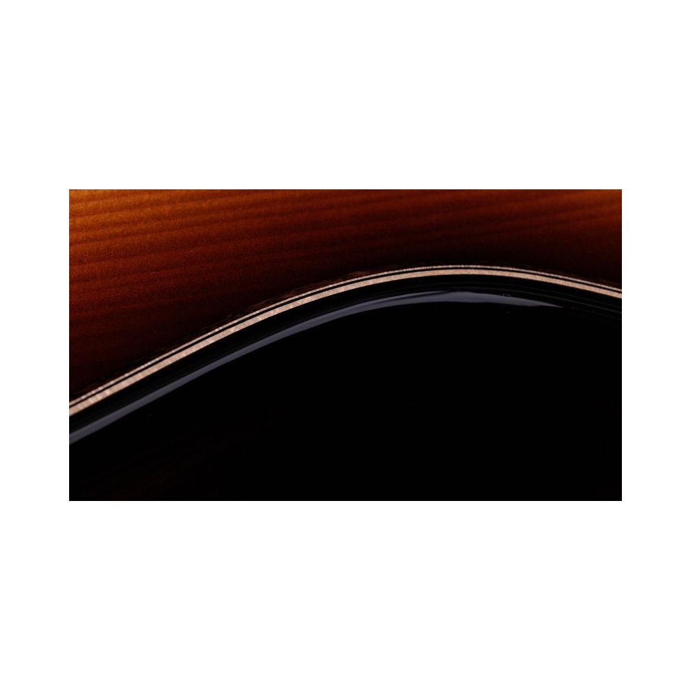 Taylor Builder´s Ed. 814ce Adirondack – Thomann Ireland