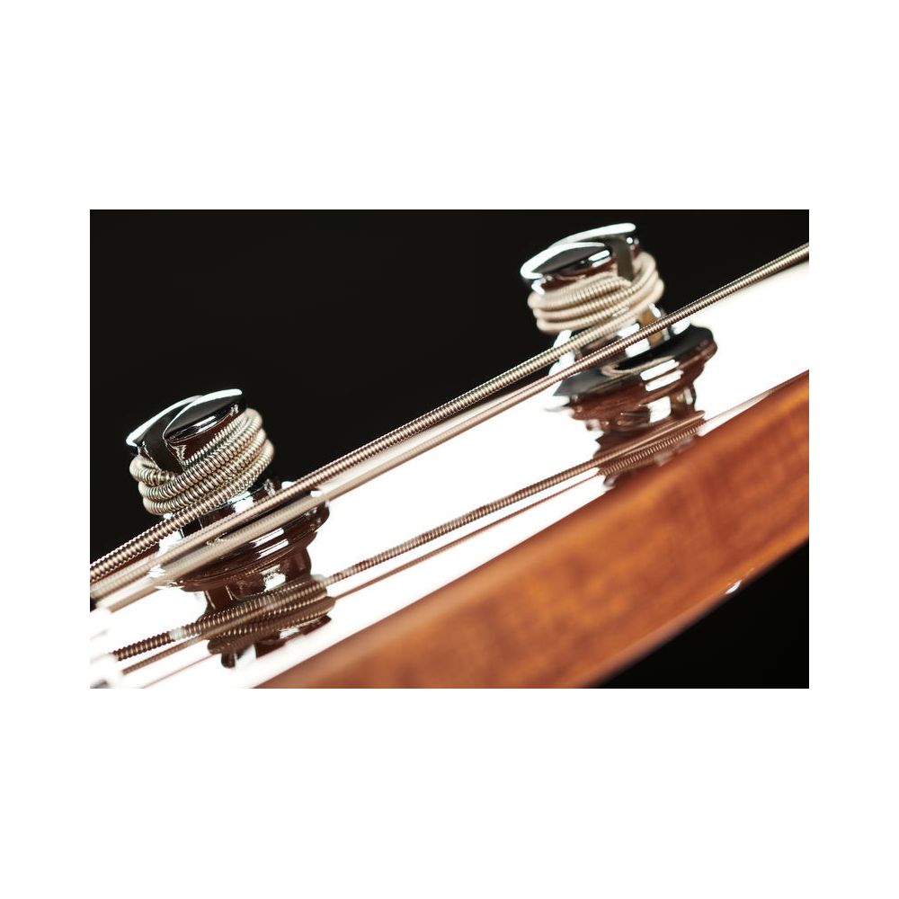 Marcus Miller V5 Alder