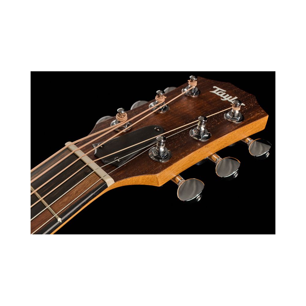 Taylor GS Mini