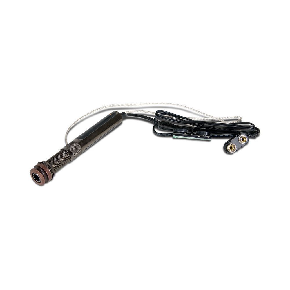 L.R.Baggs Element Active System VTC