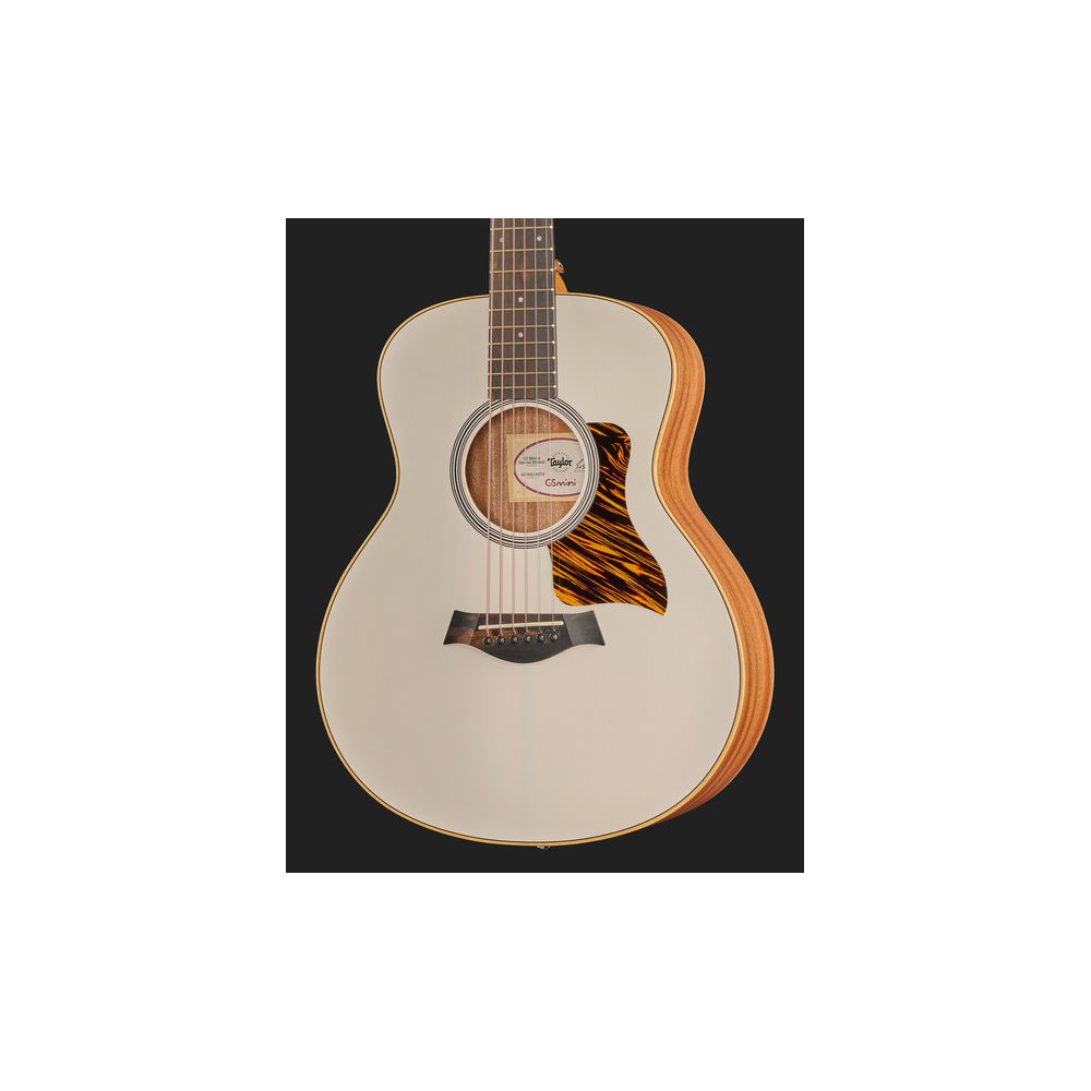 Taylor GS Mini