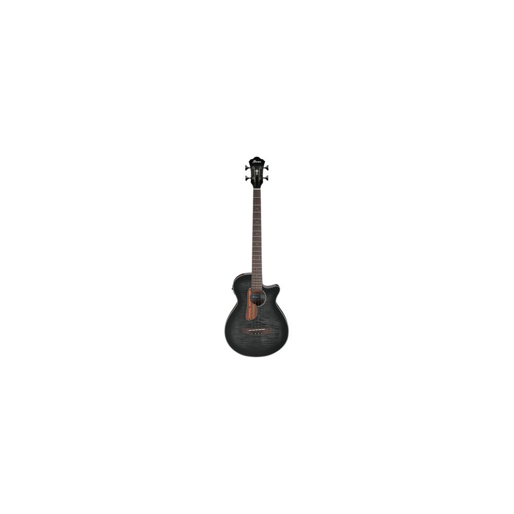 Ibanez AEGB25E