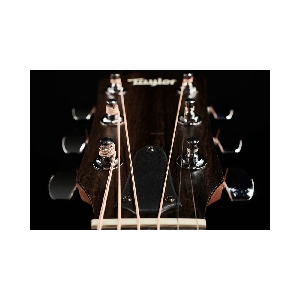 Taylor 214ce Koa – Thomann Ireland