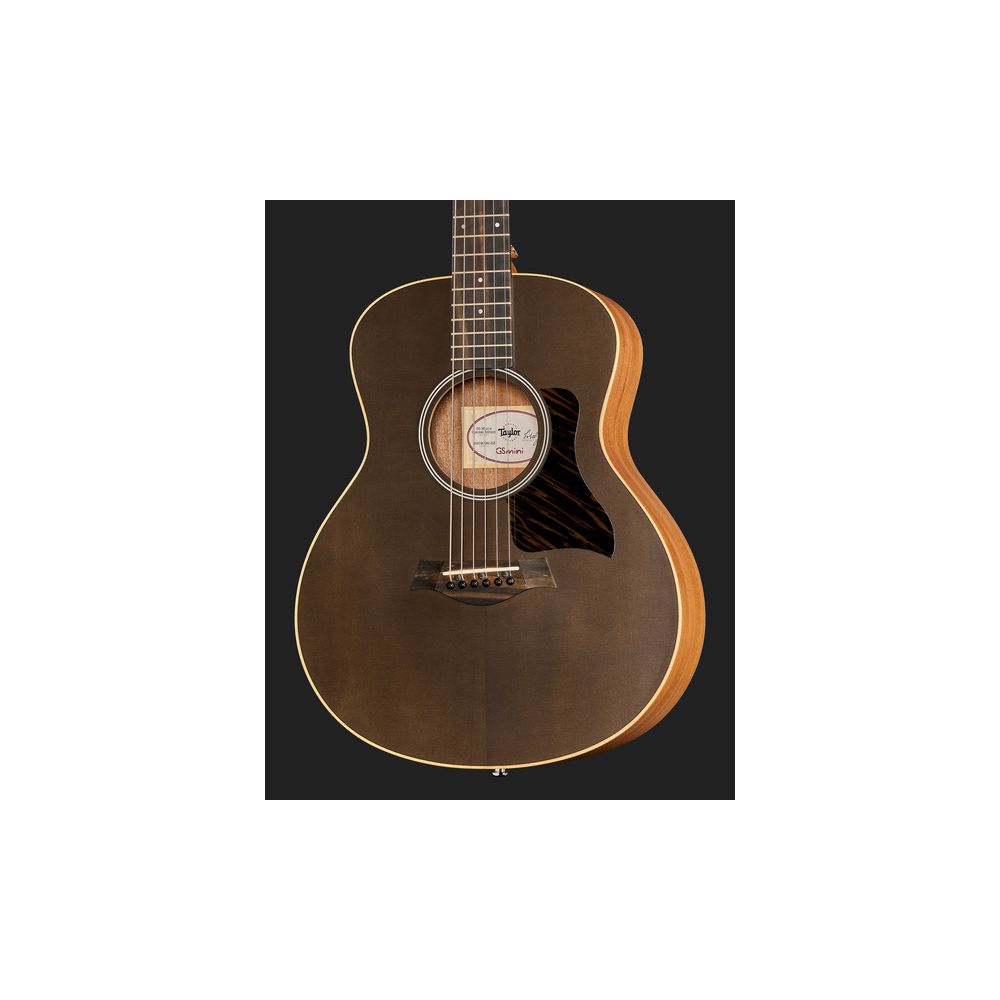 Taylor GS Mini