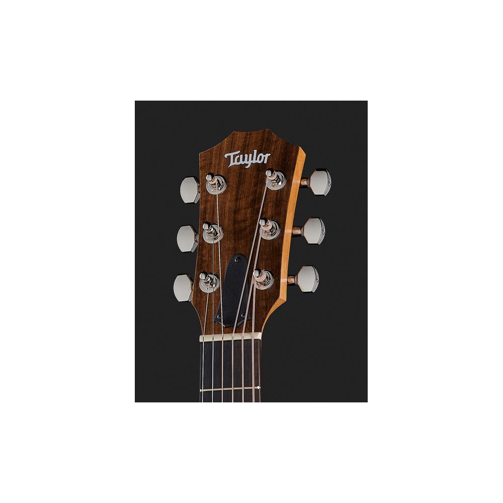 Taylor GS Mini