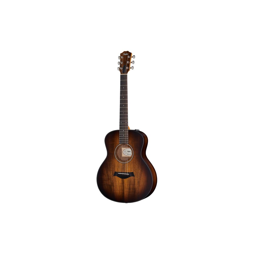 Taylor GS Mini