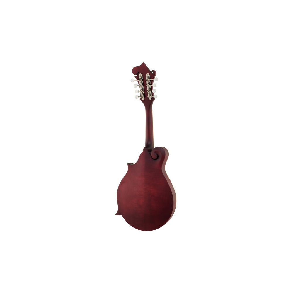 Epiphone F
