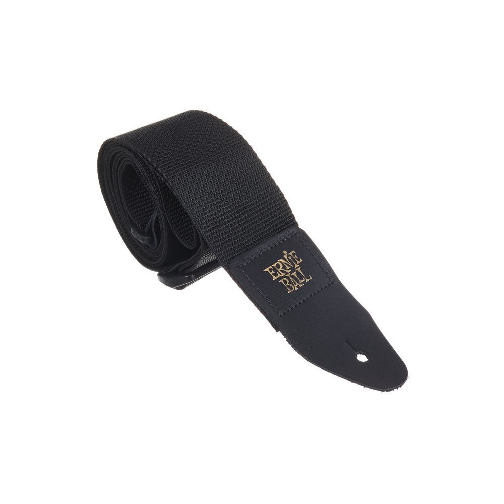 Ernie Ball regular slinky 70th anni set – Thomann Ireland