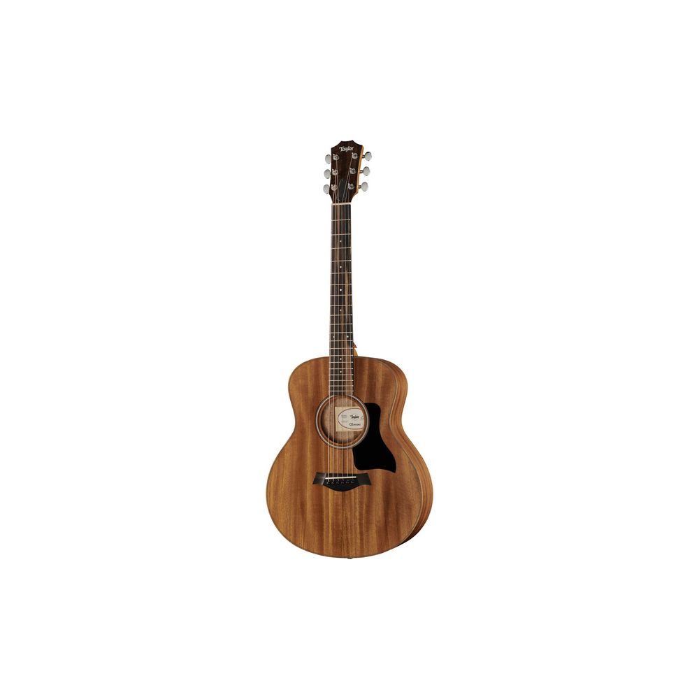 Taylor GS Mini