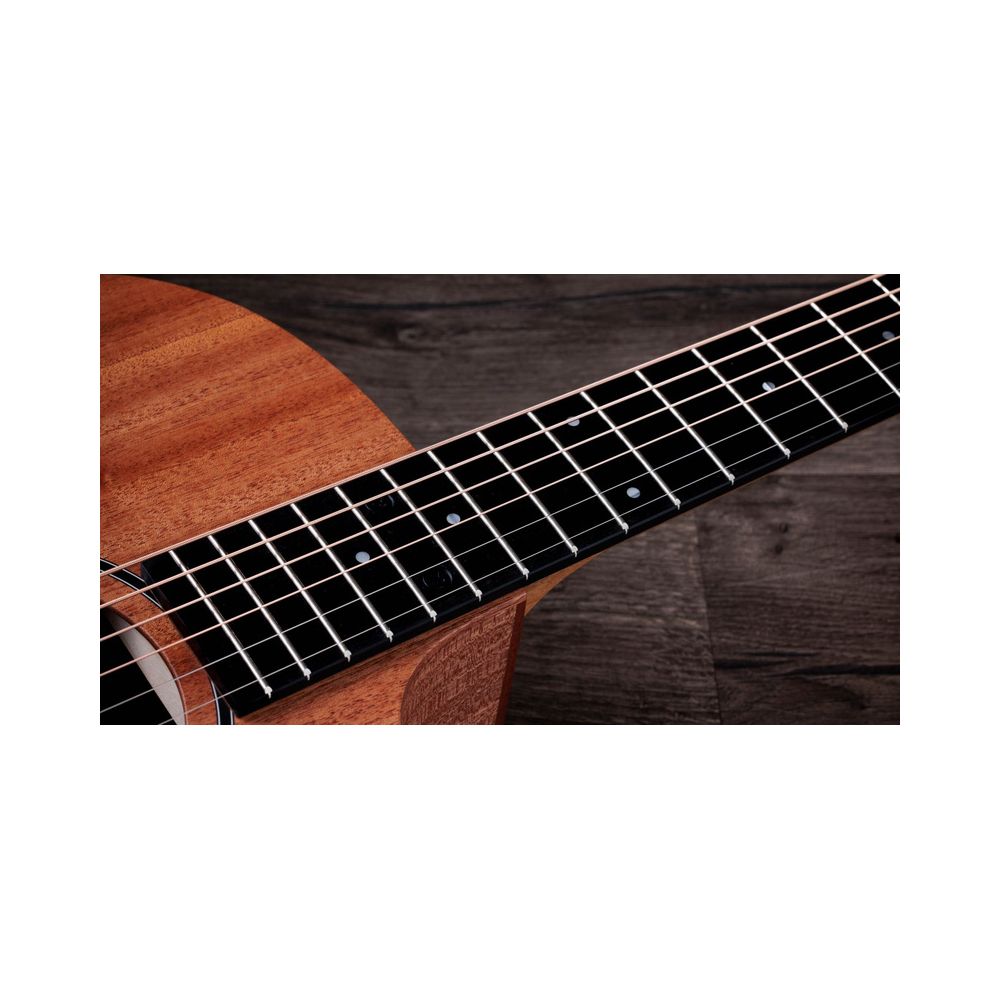 Taylor 24ce – Thomann Ireland