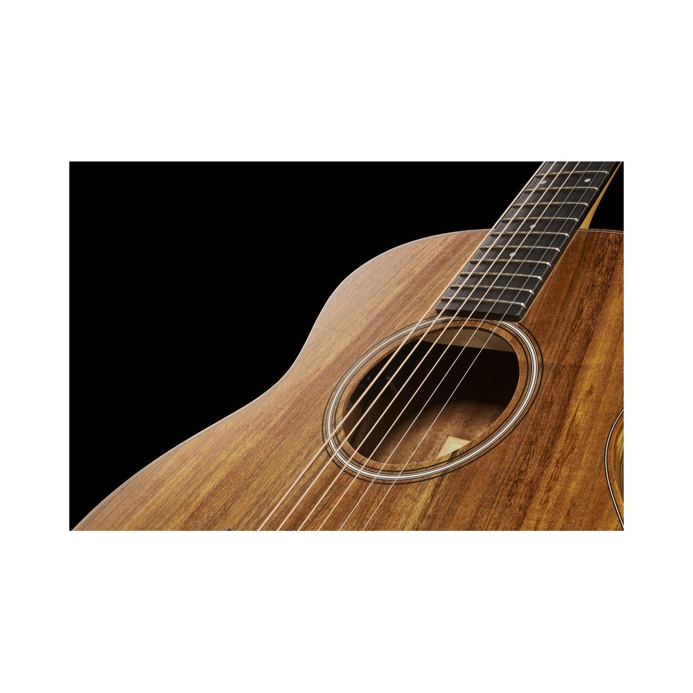 Taylor GS Mini