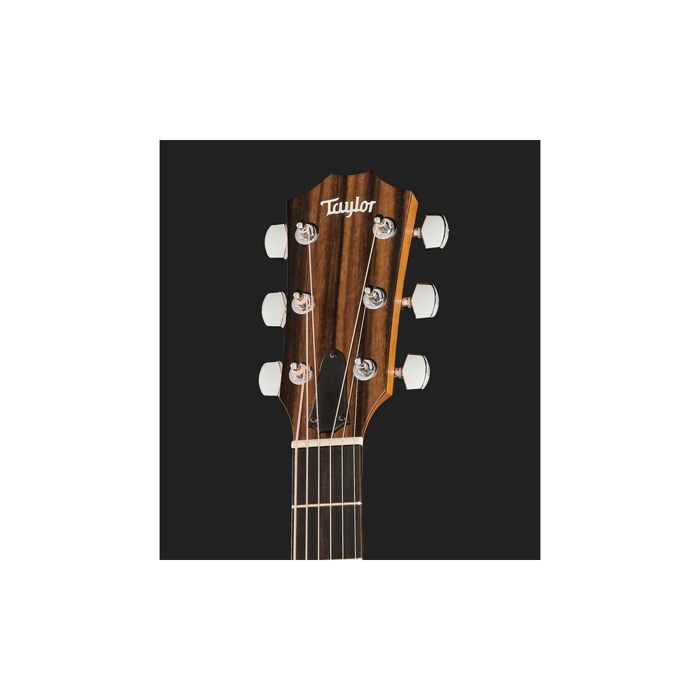 Taylor 212ce Spruce/Walnut – Thomann Ireland