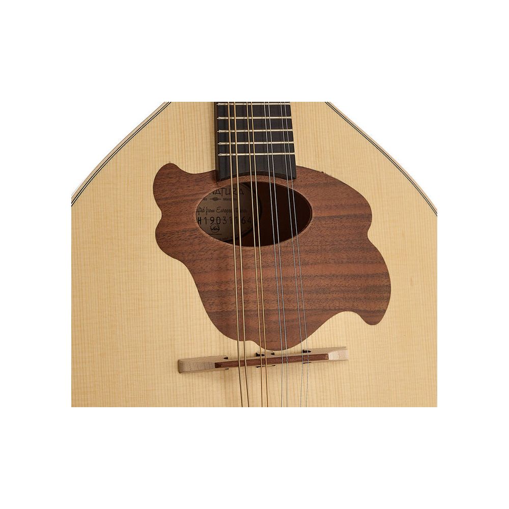 Gewa Pro Natura Mandolin – Thomann Ireland