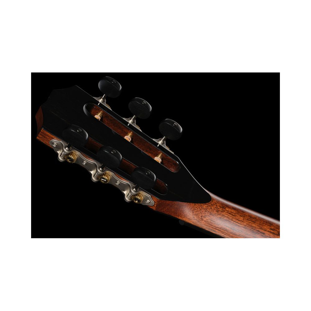 Taylor PS12ce 12 Fret Honduran RW – Thomann Ireland