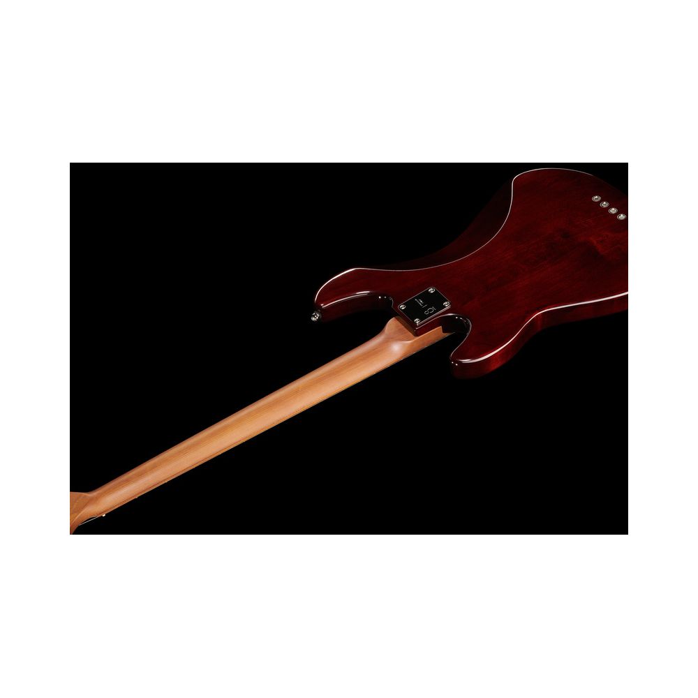 Marcus Miller P5 Alder