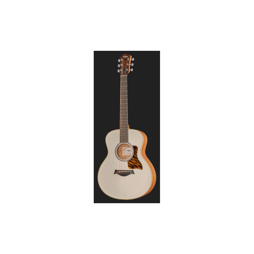 Taylor GS Mini