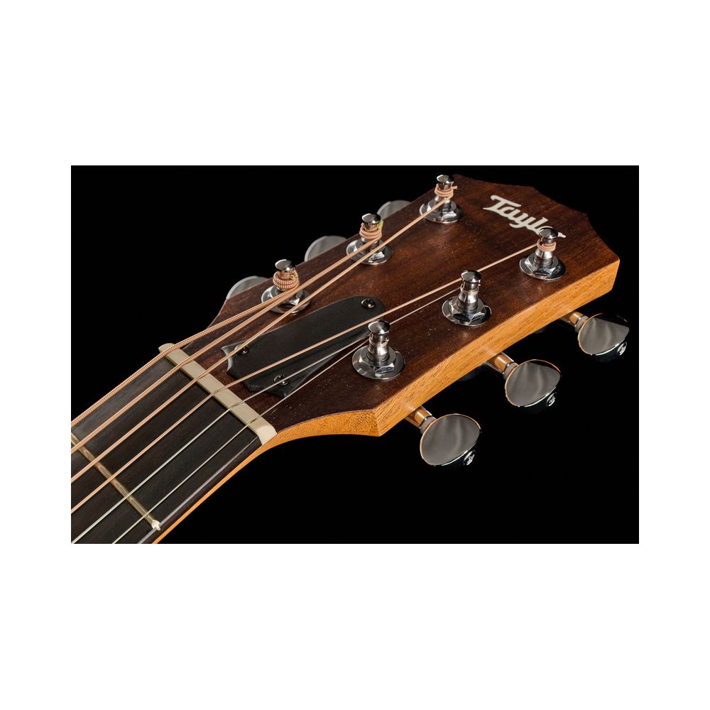 Taylor GS Mini