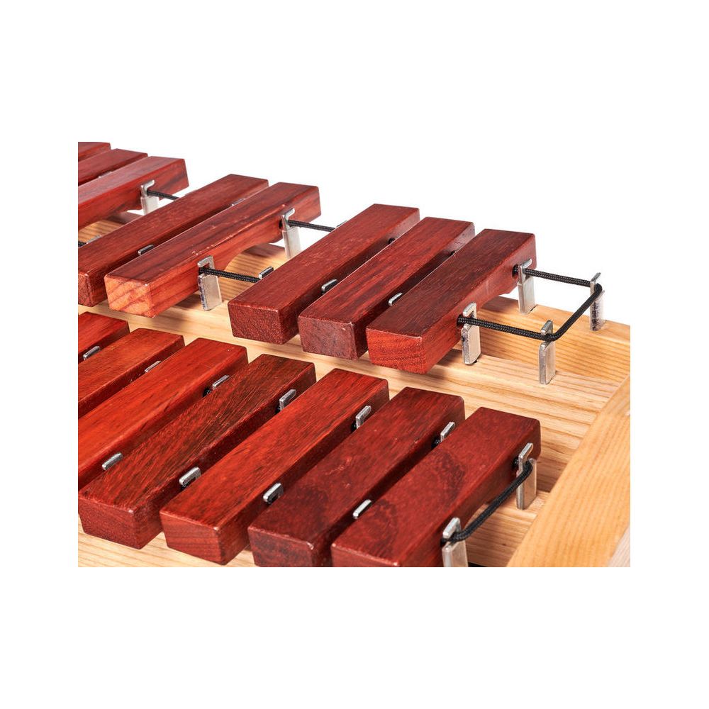 Thomann THTX 3.0 Xylophone – Thomann Ireland