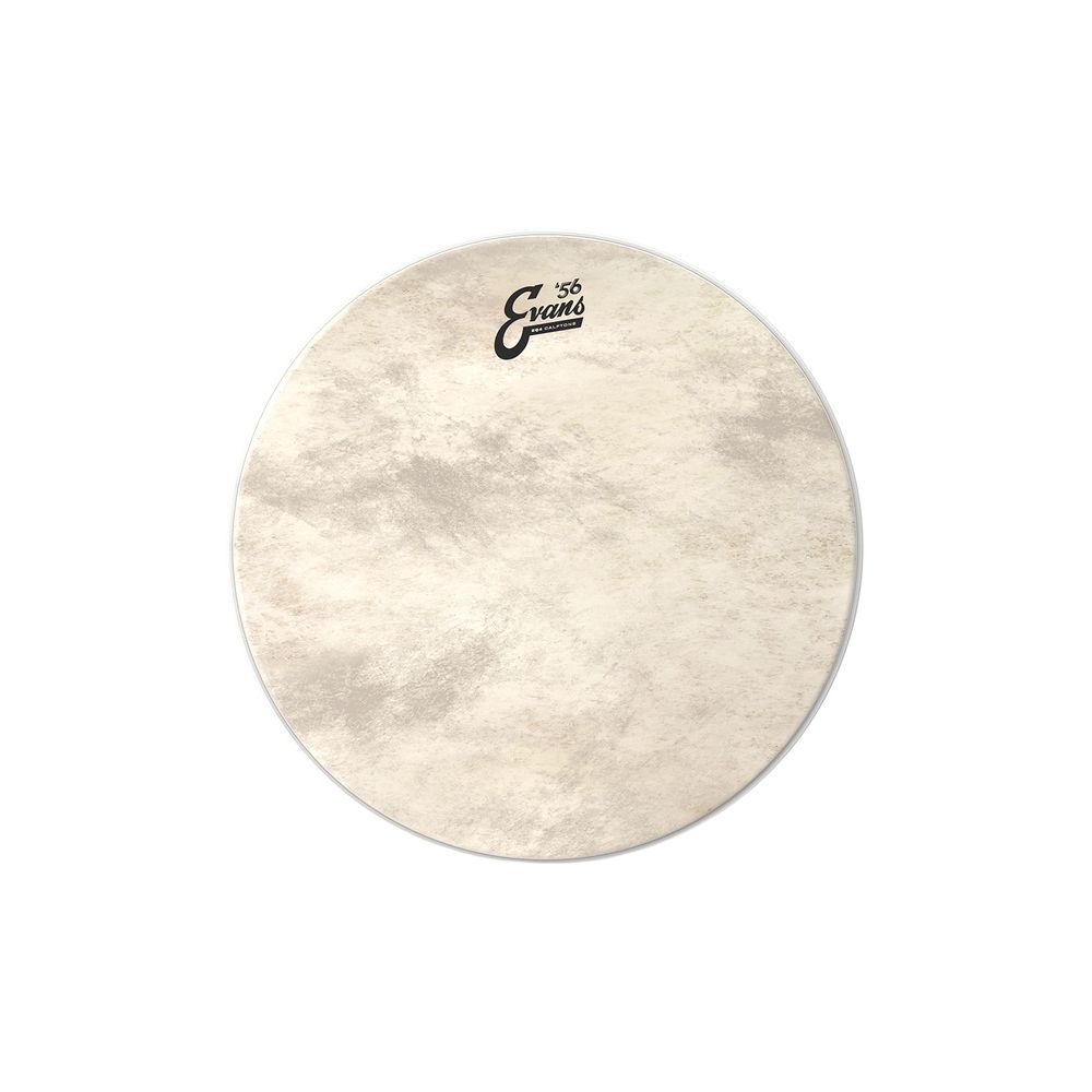 Evans 24" EQ4 Calftone Bass Drum – Thomann Ireland
