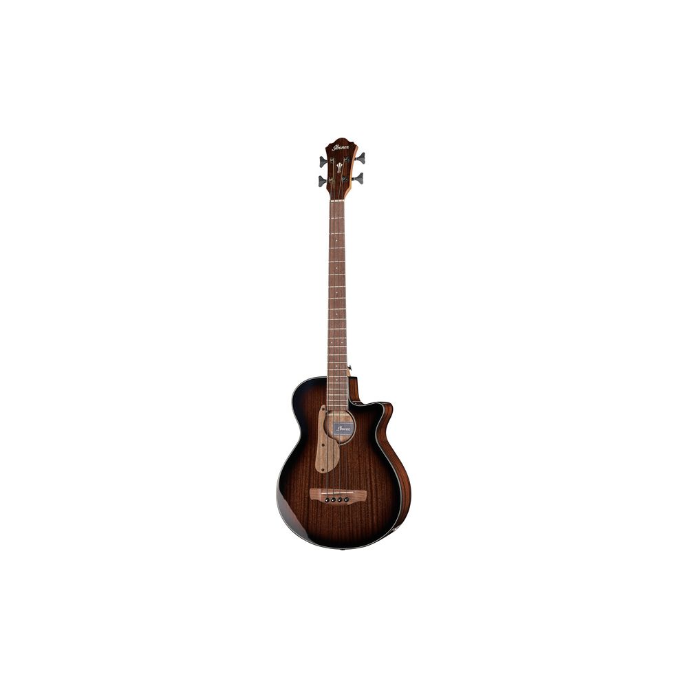Ibanez AEGB24E
