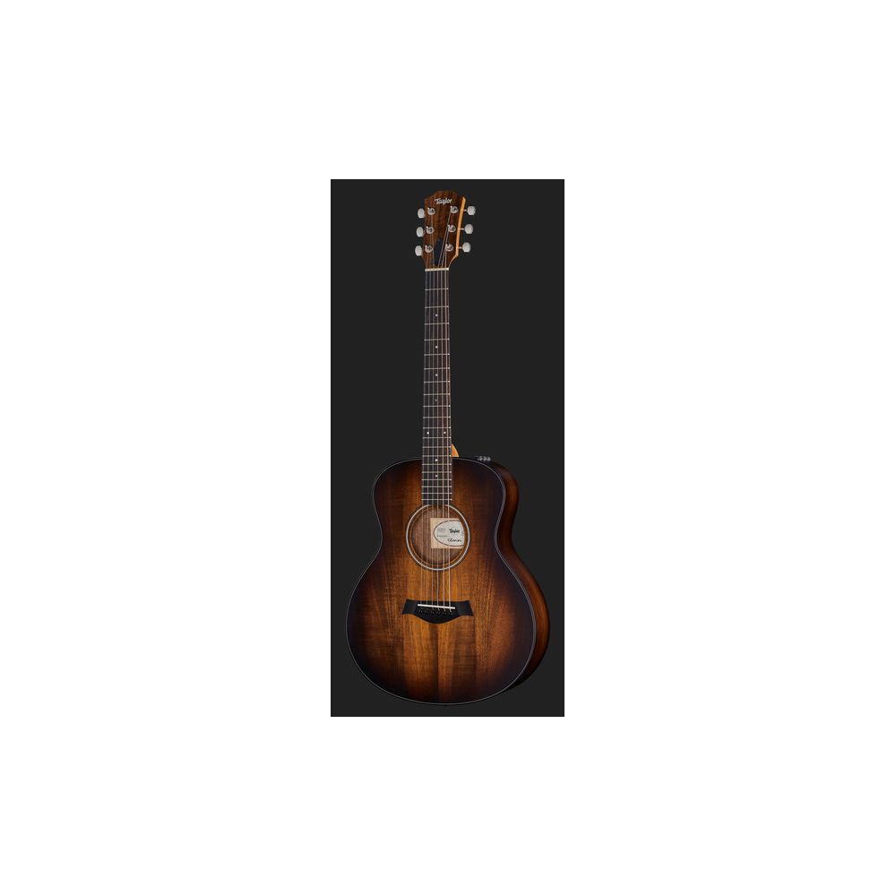 Taylor GS Mini