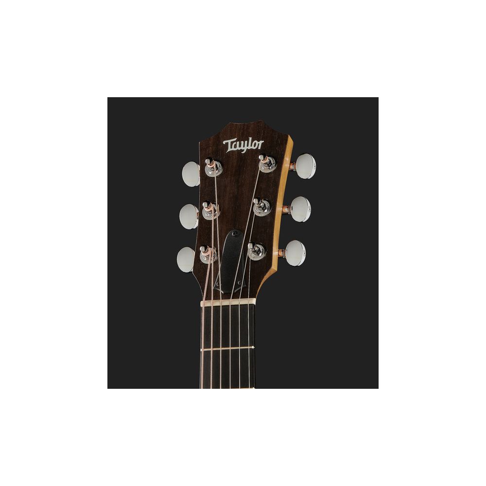 Taylor GS Mini