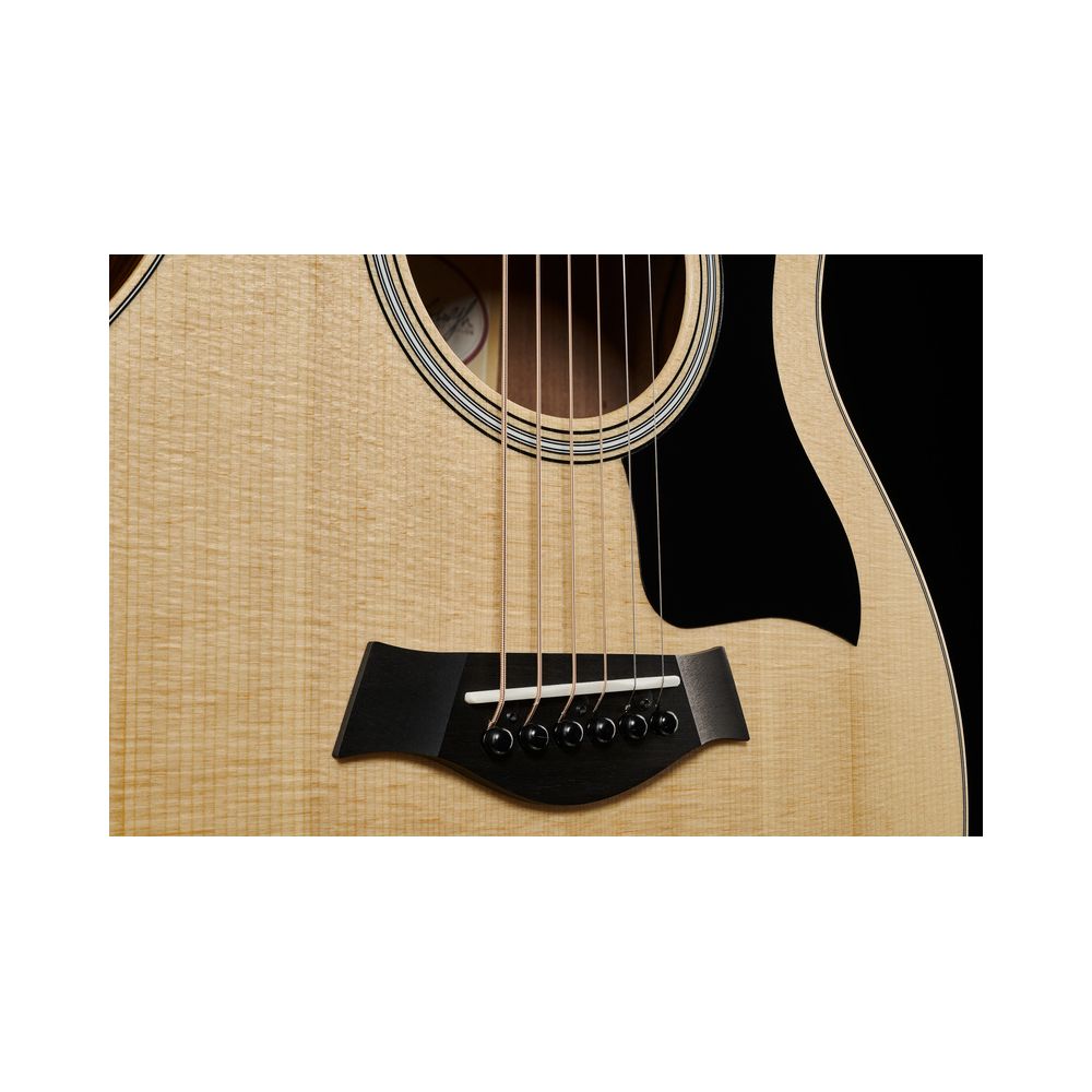 Taylor GS Mini