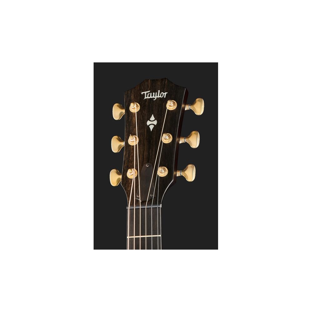 Taylor Builders Ed 314ce LTD 50th KoB – Thomann Ireland