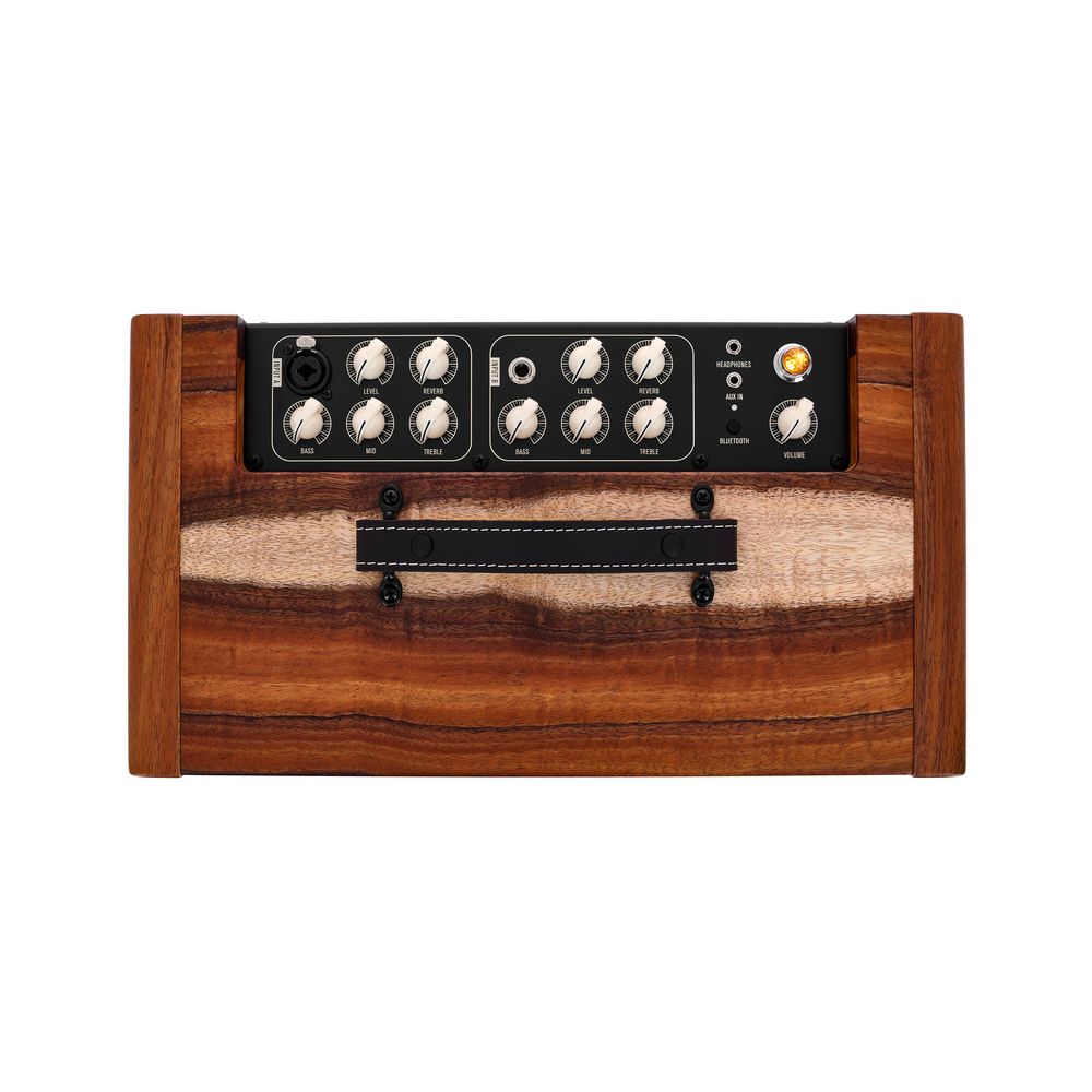 Taylor Koa Circa 74 Amp + Stand – Thomann Ireland