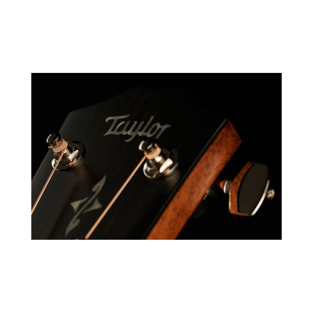 Taylor 417e