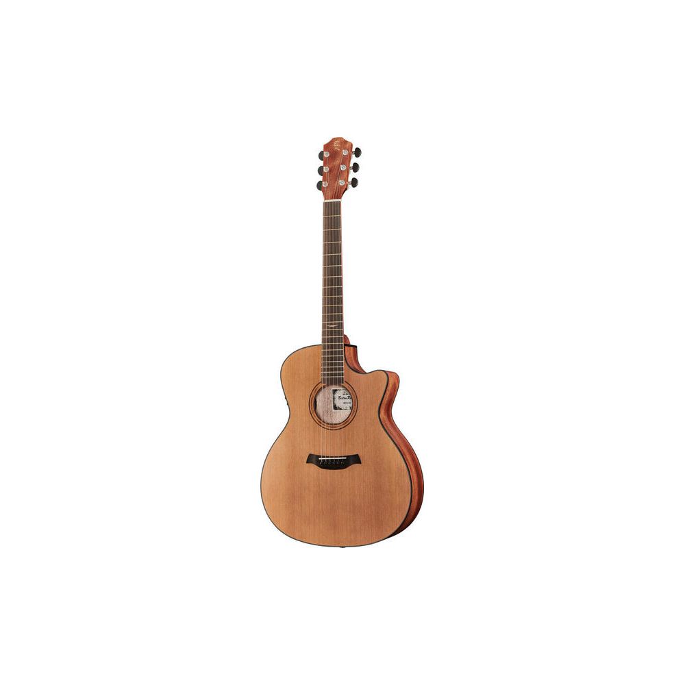 Baton Rouge AR31C/ACE – Thomann Ireland