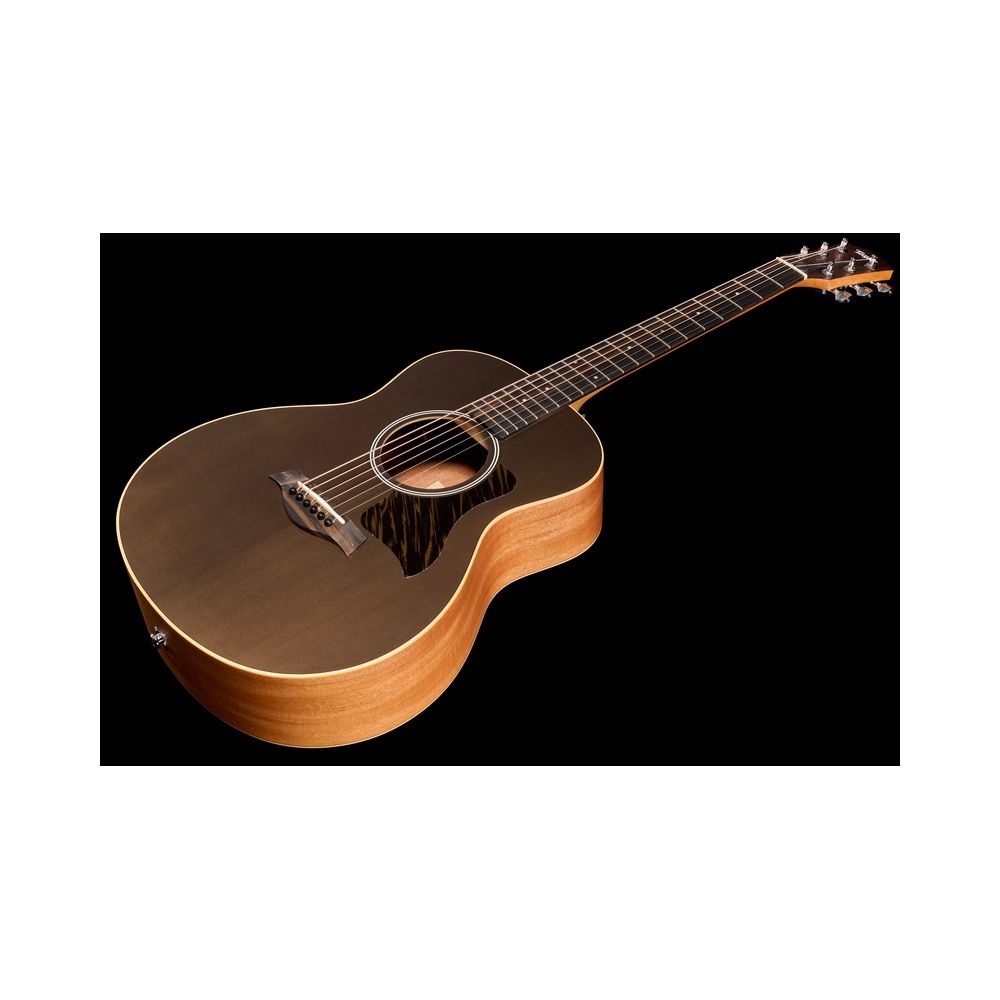 Taylor GS Mini